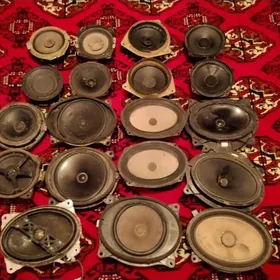 gowy kalonkalar badyr