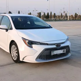 Toyota Corolla 2024