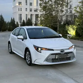 Toyota Corolla 2023