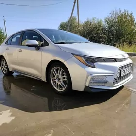 Toyota Corolla 2020