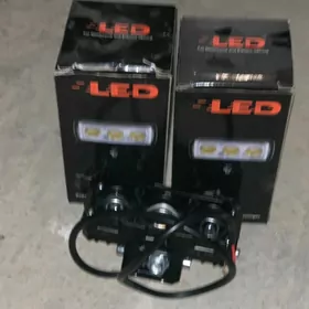 led lupali