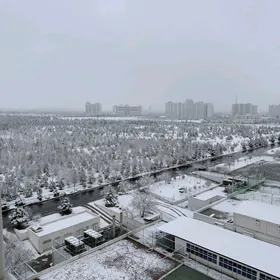 Sowetskiy elitka Советская