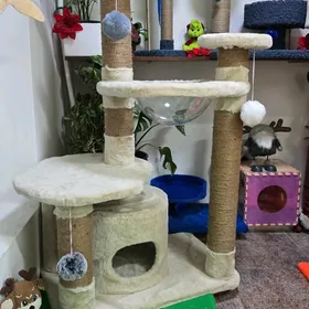 когтеточки.