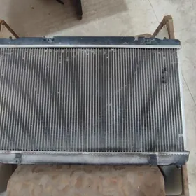 okuz kelle radiator bn wentely