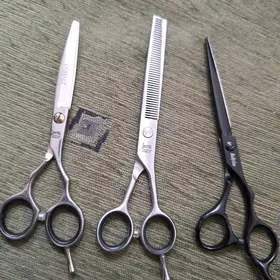 jaguar gaycy gayçy gaýcy gaýçy