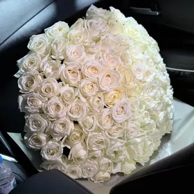 Melek Gulleri roza 24/7