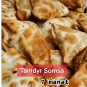 tamdyr somsa is gerek