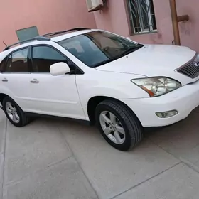 Lexus RX 330 2004