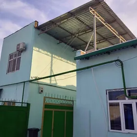 satlyk Anew howly jay