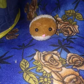 хомяк для кошки