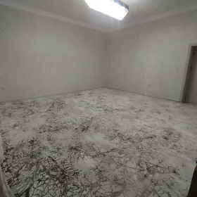 ânew 2 Kom elitka liftly