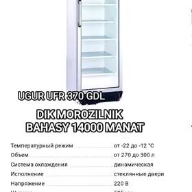 UGUR WTRINA MOROZILNIKLARY BAR