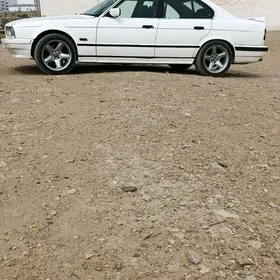 BMW 525 şnaýzer disga 17