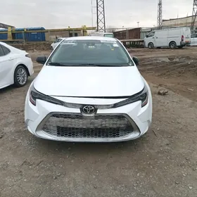Toyota Corolla 2022