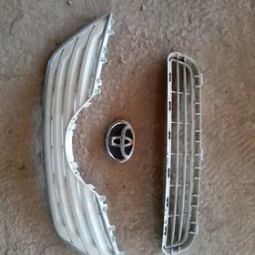 Okuz kelle oblisovka 2008