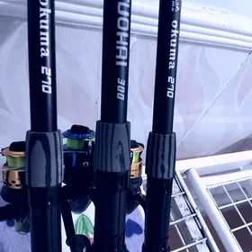 спинниклер тэзе Окума