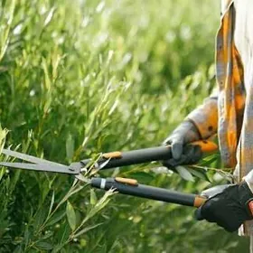 BAGBAN САДоВНиК