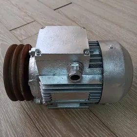 Elektrodwigatel (motor)