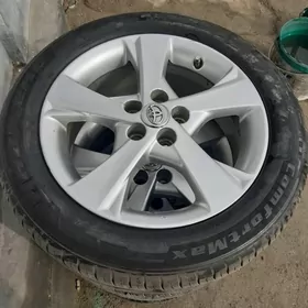 Karolla Radnoý 16 lk Exculsive