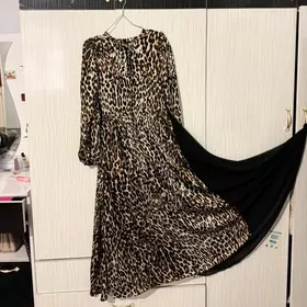 Кароткий койнек