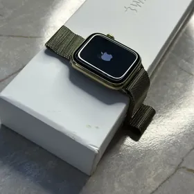 Apple Watch 7 Stainless Steel