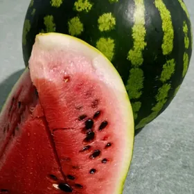 Garpyz tohum. astrahan