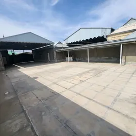 Satlyk jay  Uly Howly