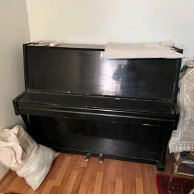 "Kuban" Pianino Satlyga