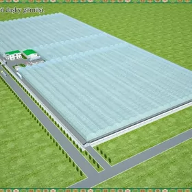 Satlyk parnik teplissa