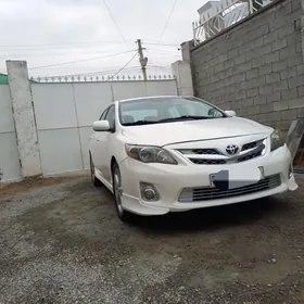 taksi sürüji şafýor