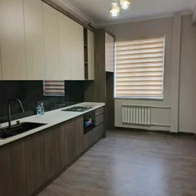 ️ Satlyk Elitka jaý 