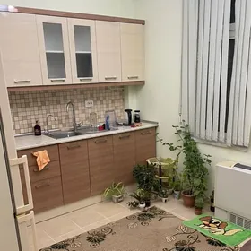 Taslama eyesinden 3 kom