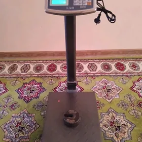 TEREZI-150-KG.《LAH》