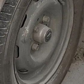 04-01 diska pakrişka