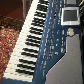Korg pa 800