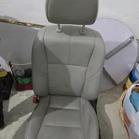 sidenya awalon 2014 xle