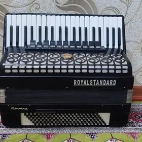 Akkordeon akardeon akardiyon