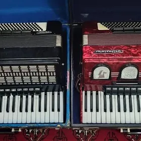 Akkordeon akardeon akardiyon