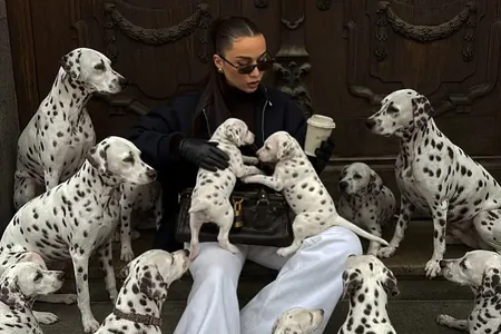 Enaýyja, emma howply: EA arkaly döredilen haýwanlar tebigata bolan garaýşymyzy nädip üýtgedýär?