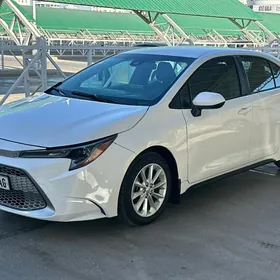 Toyota Corolla 2023