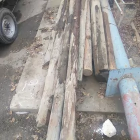 agaç, tagta tomalak agaç