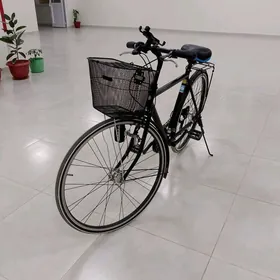 TIGIR BRİGESTONE 27LİK