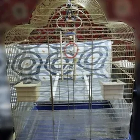 клетка для попугаев