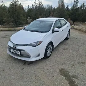 Toyota Corolla 2019