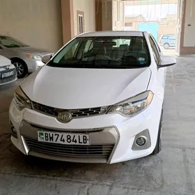 Toyota Corolla 2014