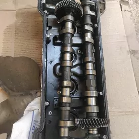 Carina 7a mator rasperduvallar