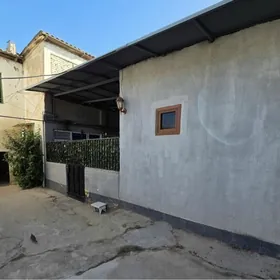 Ak Bugday Etr Yasyldepe oba