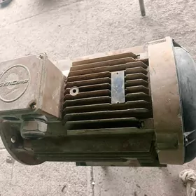 motor elektrodwigatel