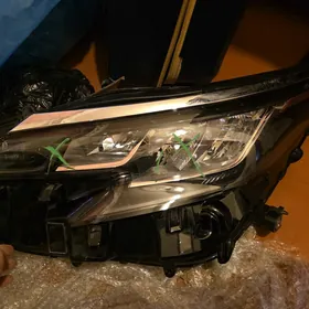 sienna 2021 woditel tarap fara