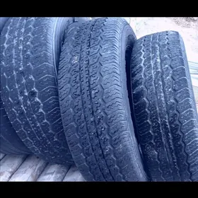 Tigir 215.75.15. bez kamyr